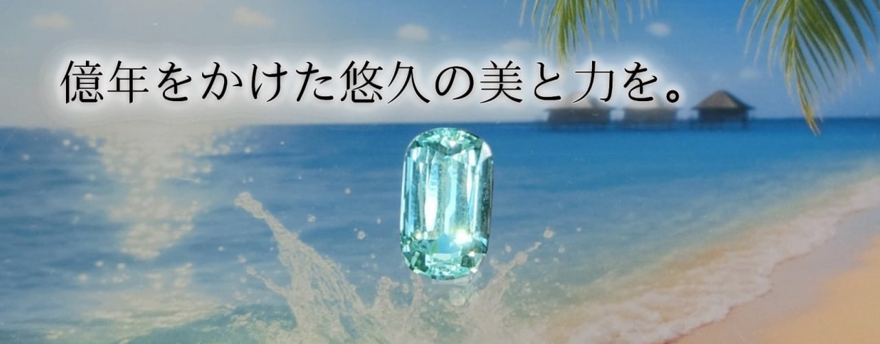 スライド画像2