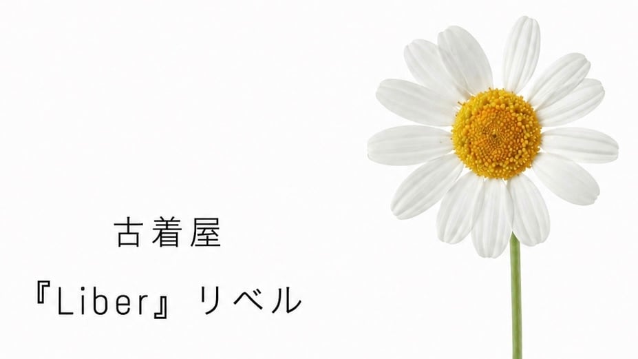 Liber