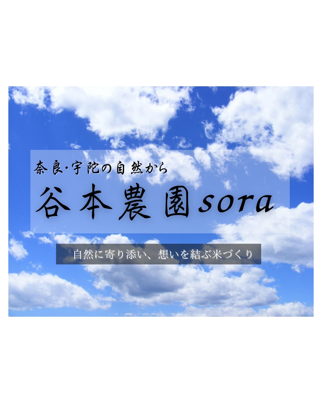 Lien Farm − 谷本農園のお米 −