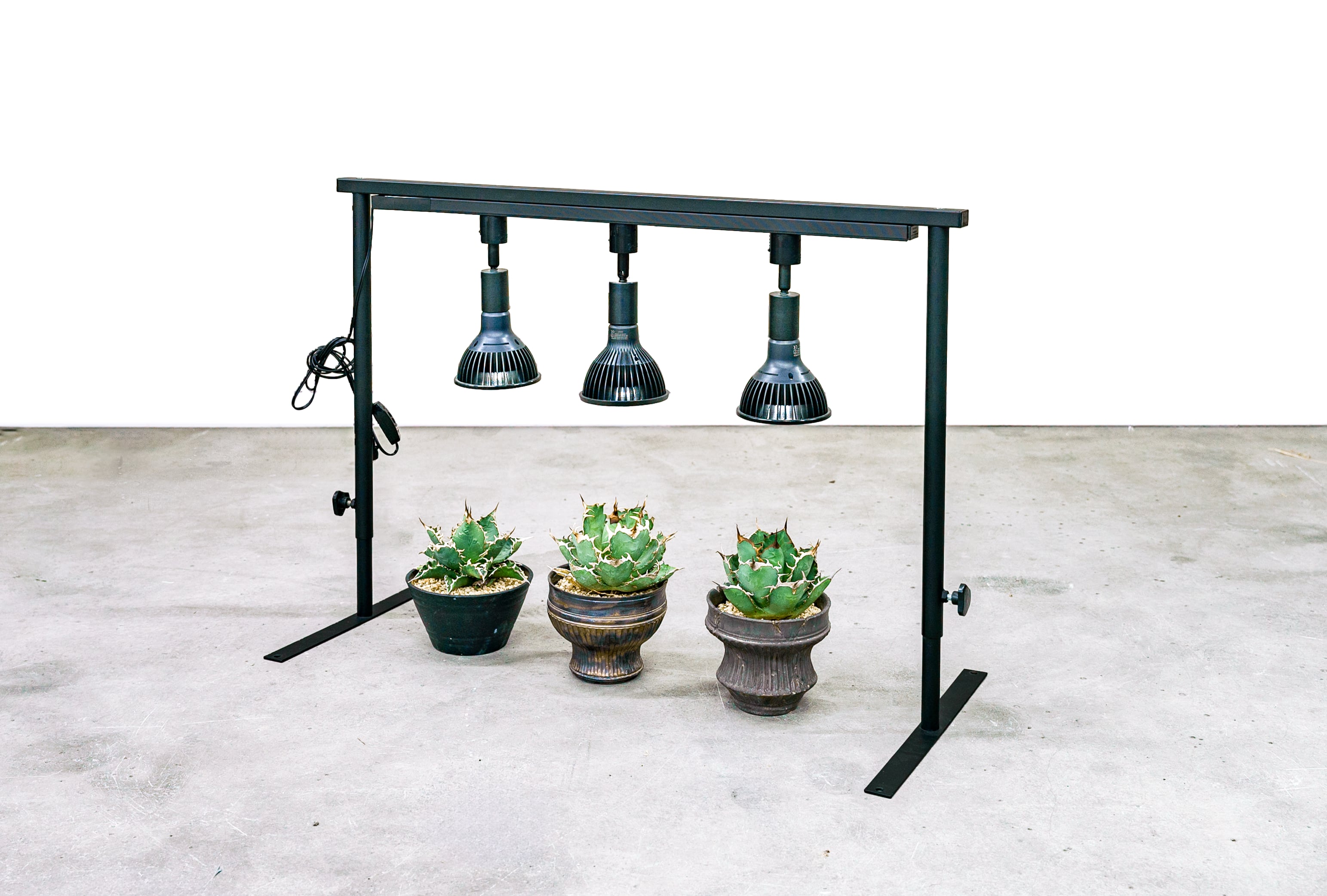 MILLS ミルズ　植物台　インダクトリアル　塊根植物　メタルラック Preparing for wintering plants. A little DIY and a holiday to set