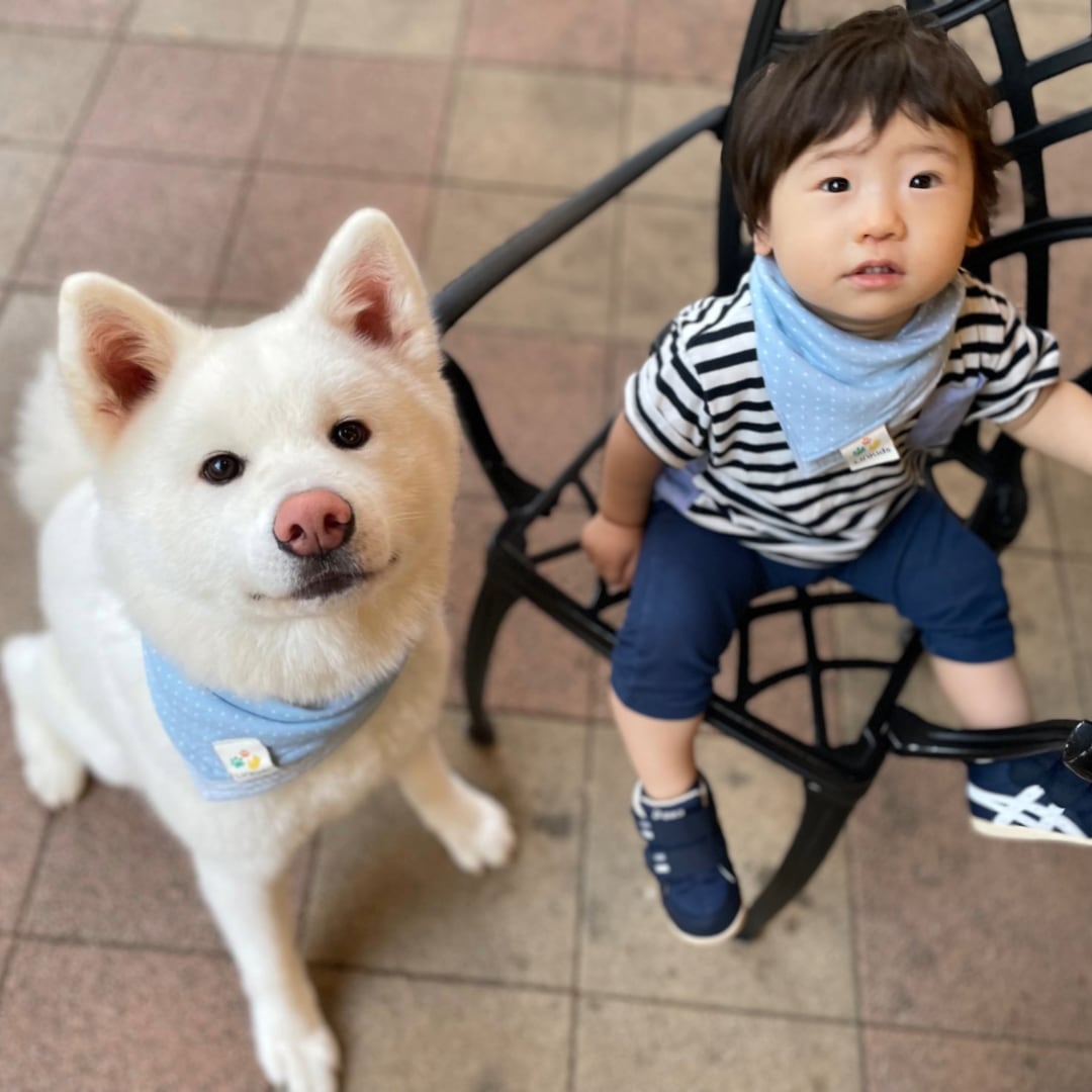 LINKids | 犬・猫・子供のリンクコーデのお店