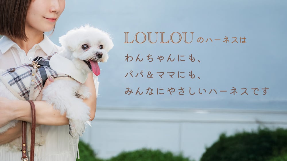 美品】パジャマドッグLOU LOU フランスアンティークドールジュモウ犬