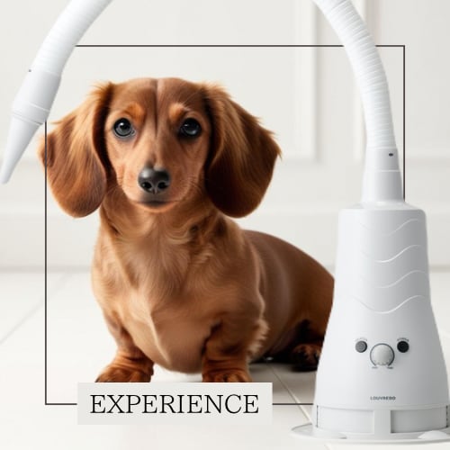 【ほぼ未使用】復元ドライヤー PET ペット用ドライヤー ハンズフリードライヤー LOUVREDO 復元ドライヤーPET プロ仕様