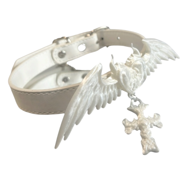 ACCESSORY