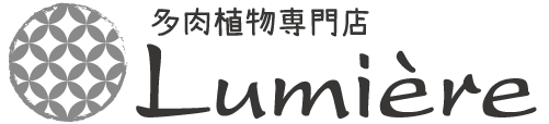 多肉植物専門店Lumière ~ リュミエール ~