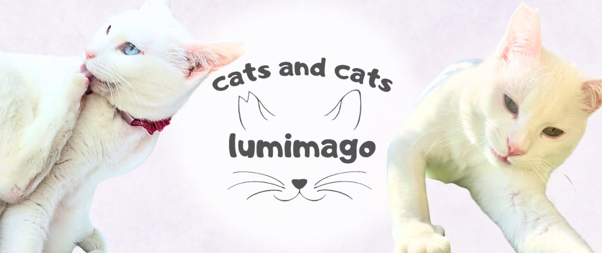 lumimago