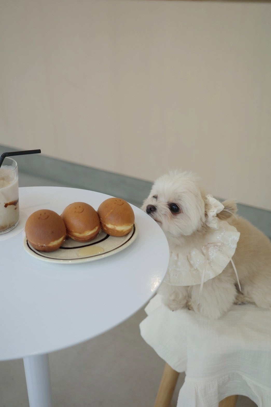 macaron