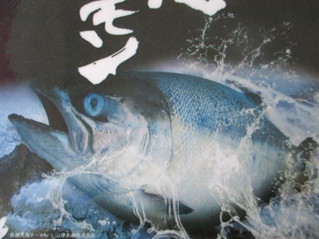 まえた