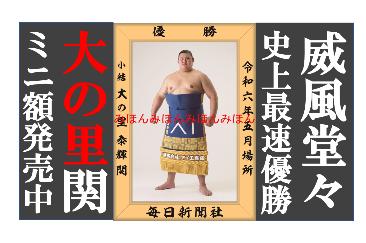 大相撲　ミニチュア優勝額 大相撲優勝額 （大相撲まいにち部屋（大相撲優勝ミニ額販売公式サイト））