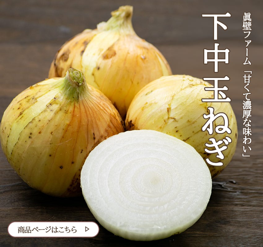 通常の玉ねぎは辛みが強いため、スライスした後に水に長い時間さらさなければ生で食べられません。眞壁ファームの玉ねぎはスライスするだけで生で食べられるほど、玉ねぎの豊かな風味に甘味があり、後味はスッキリとした爽快な味を楽しめます。

オニオンスライスで生の味を確かめたら、次はソテーです。輪切りにして薄く油をひいたフライパンで焼くだけ。塩は軽く。この玉ねぎの美味しさが炸裂します。噛むと甘味と濃厚な旨味たっぷりの果汁が口の中にあふれ出します。身はしっかりしているのに、非常にみずみずしく、それでいて味わいは濃厚です。たっぷりシンプルに味わって、その後料理にお使いください。