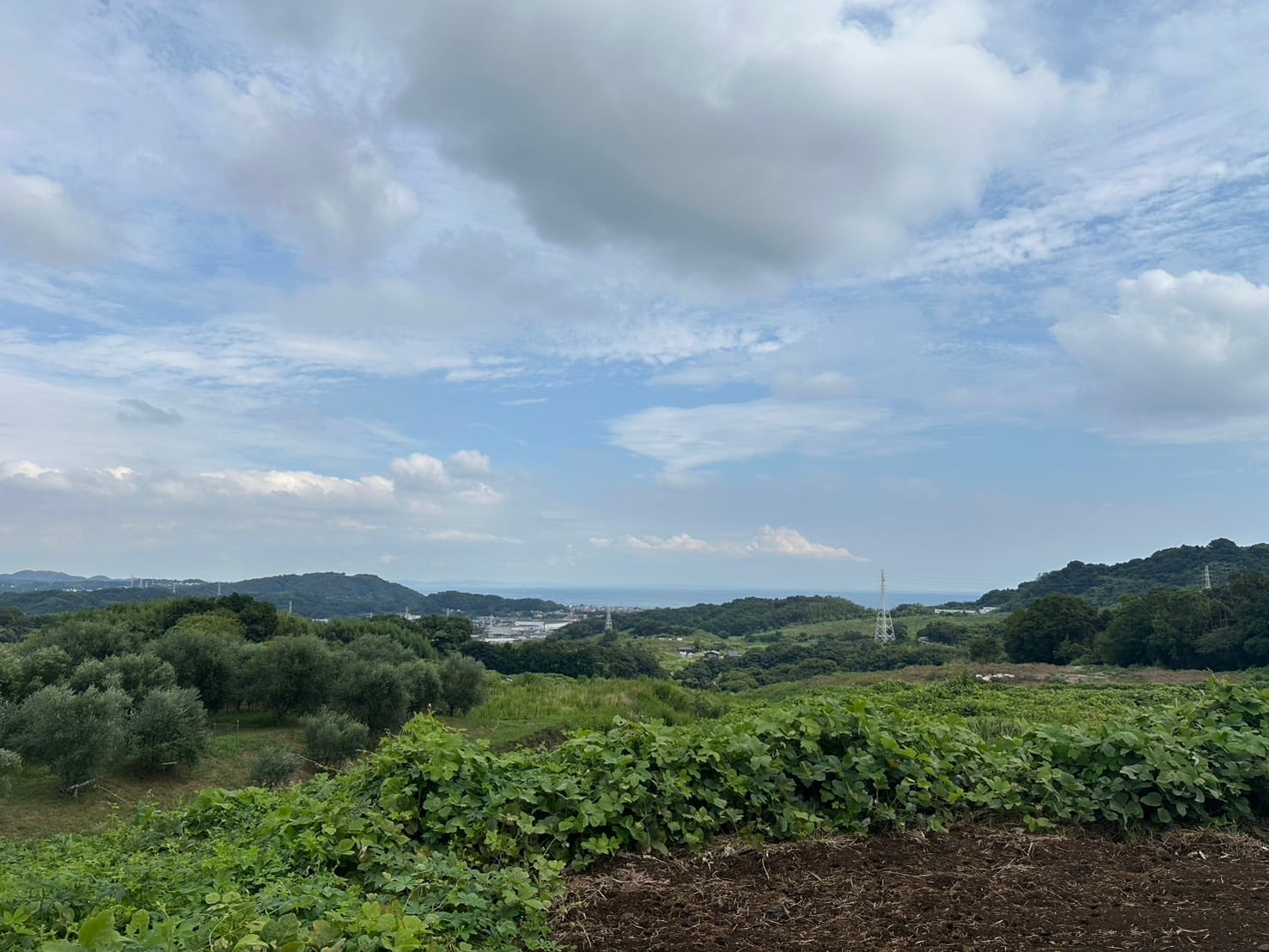 イメージ画像