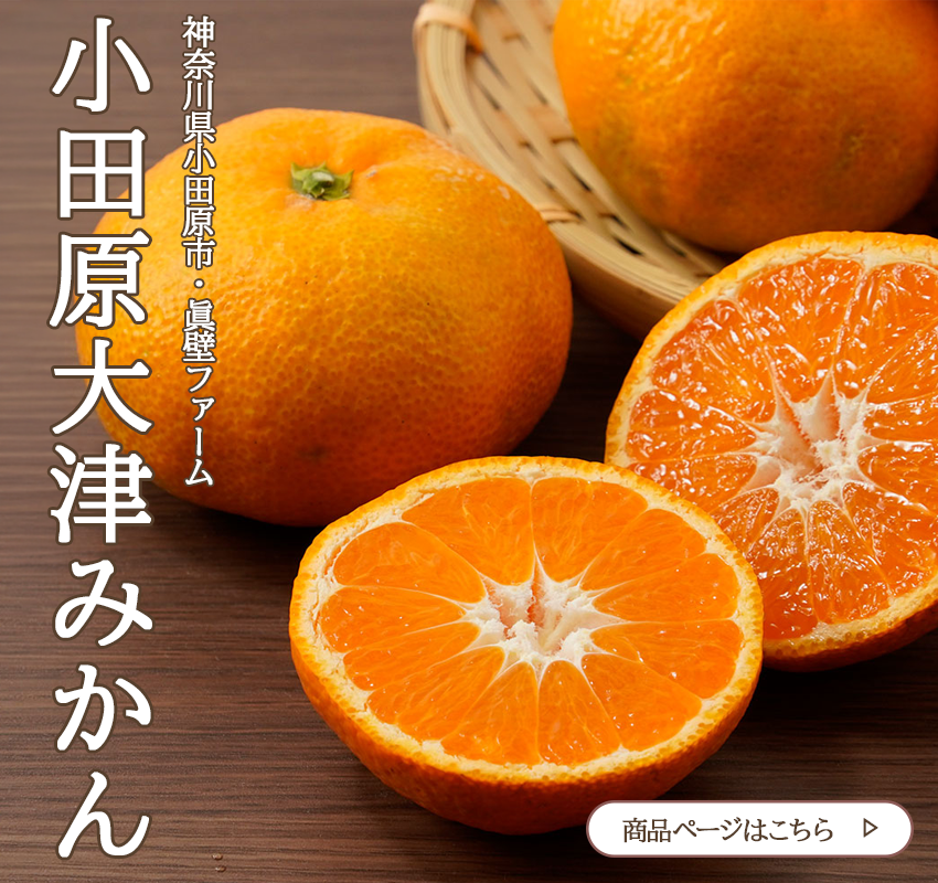 大津みかんは、小田原市の隣にある湯河原町で生まれました。大玉で甘みが強く、酸味も強い品種です。そのため、収穫から2週間寝かせて酸味が減らしてから出荷します。

眞壁ファームの大津みかんはまったく雑味が無いきれいな酸味のため、収穫したてを食べてもスッキリとした爽やかな味わい。熟成を経ることで、甘みと酸味のバランスが良くなり、濃厚な味わいをお楽しみいただけます。