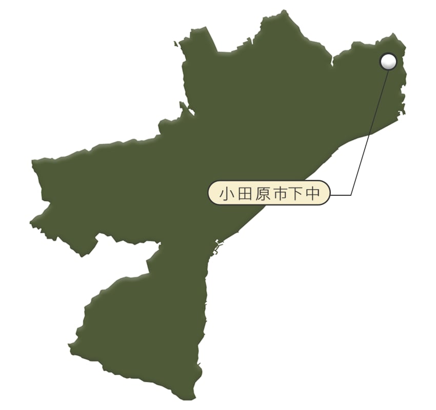 神奈川県小田原の市街地から東に車で20分ほどのところにある下中地区。ここで代々野菜を栽培しています。
まだ下中たまねぎと呼ばれる前から有機肥料を使った土づくりと、化学農薬を使わない栽培で美味しく、安心安全なたまねぎを作ってきました。