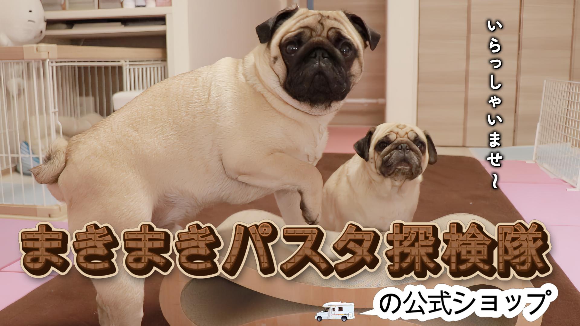 まきまきパスタ探検隊