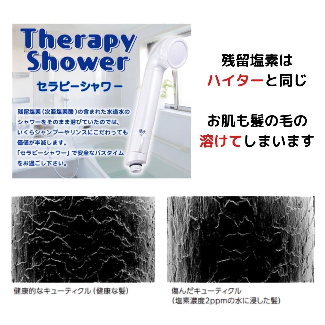 【送料無料】素粒水 セラピーシャワー<br>［素粒水のお味噌プレゼント］<br>フリーサイエンス正規代理店