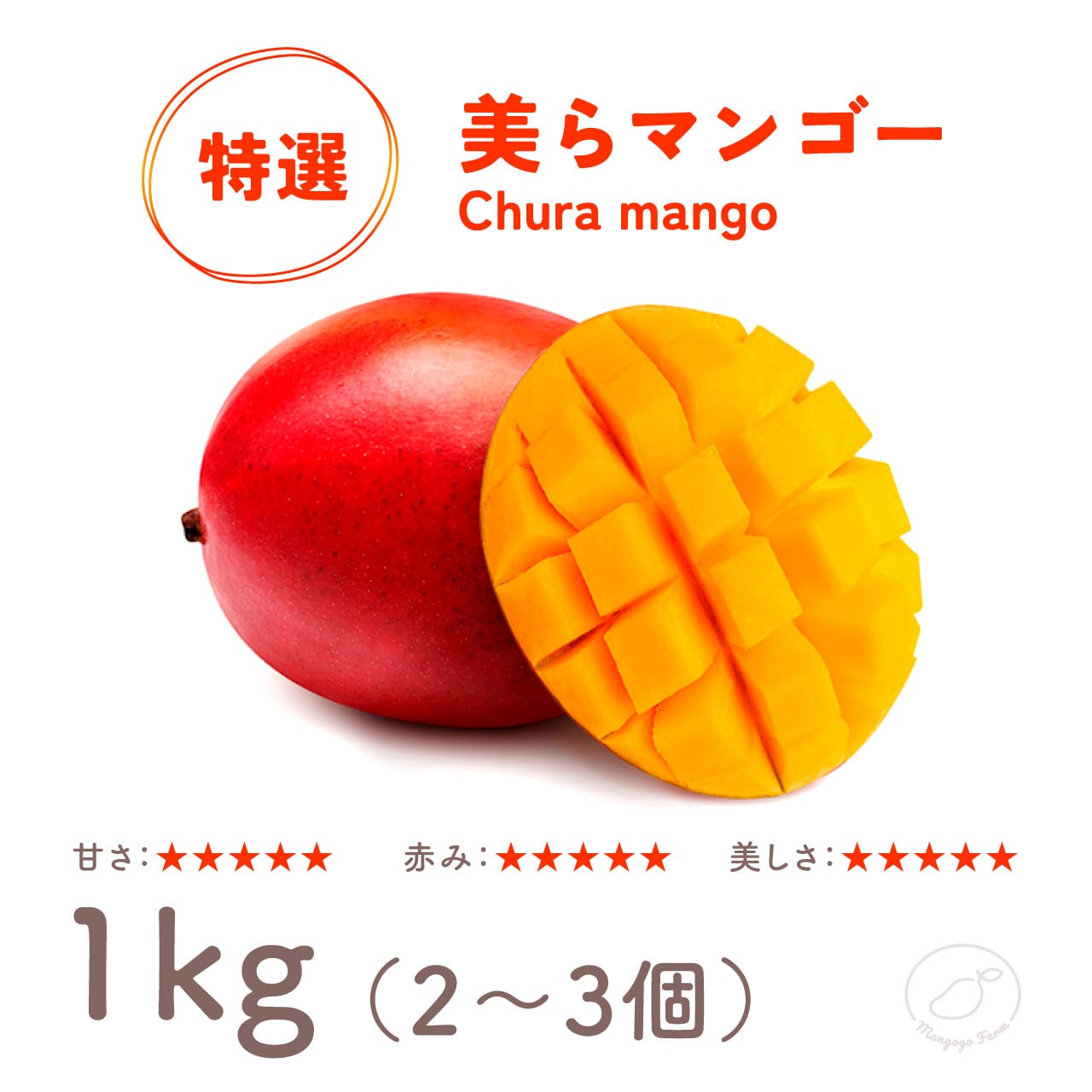 【ランク：特選品】 美らマンゴー 1kg（2～3玉）
