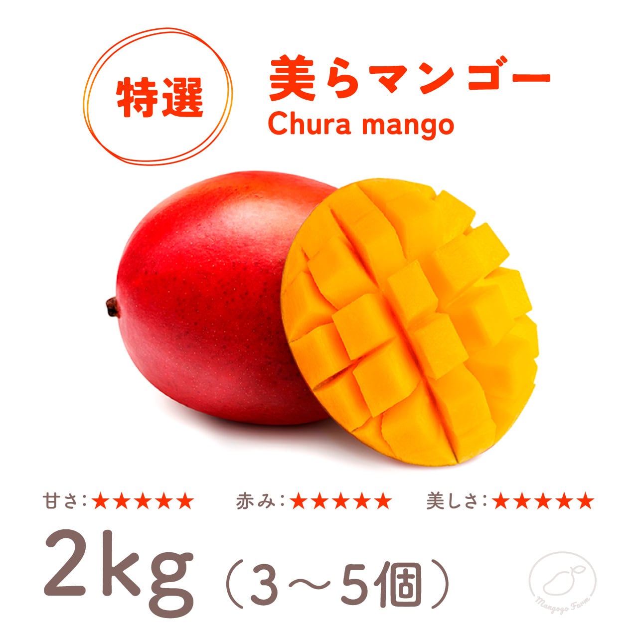 【ランク：特選品】 美らマンゴー 2kg（3～5玉）