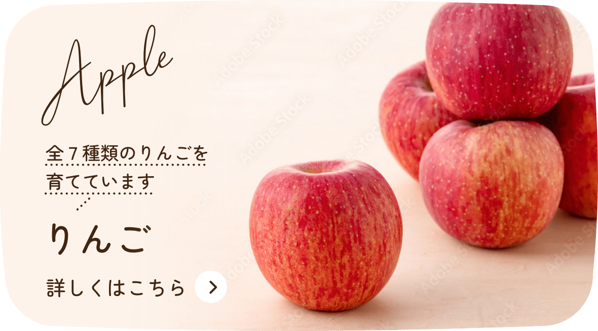 丸西農園｜減農薬栽培と除草剤・化学肥料・ネオニコチノイド系
