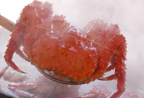 タラバ蟹 姿1,8kg前後