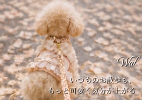 Walk