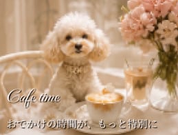 Cafe time