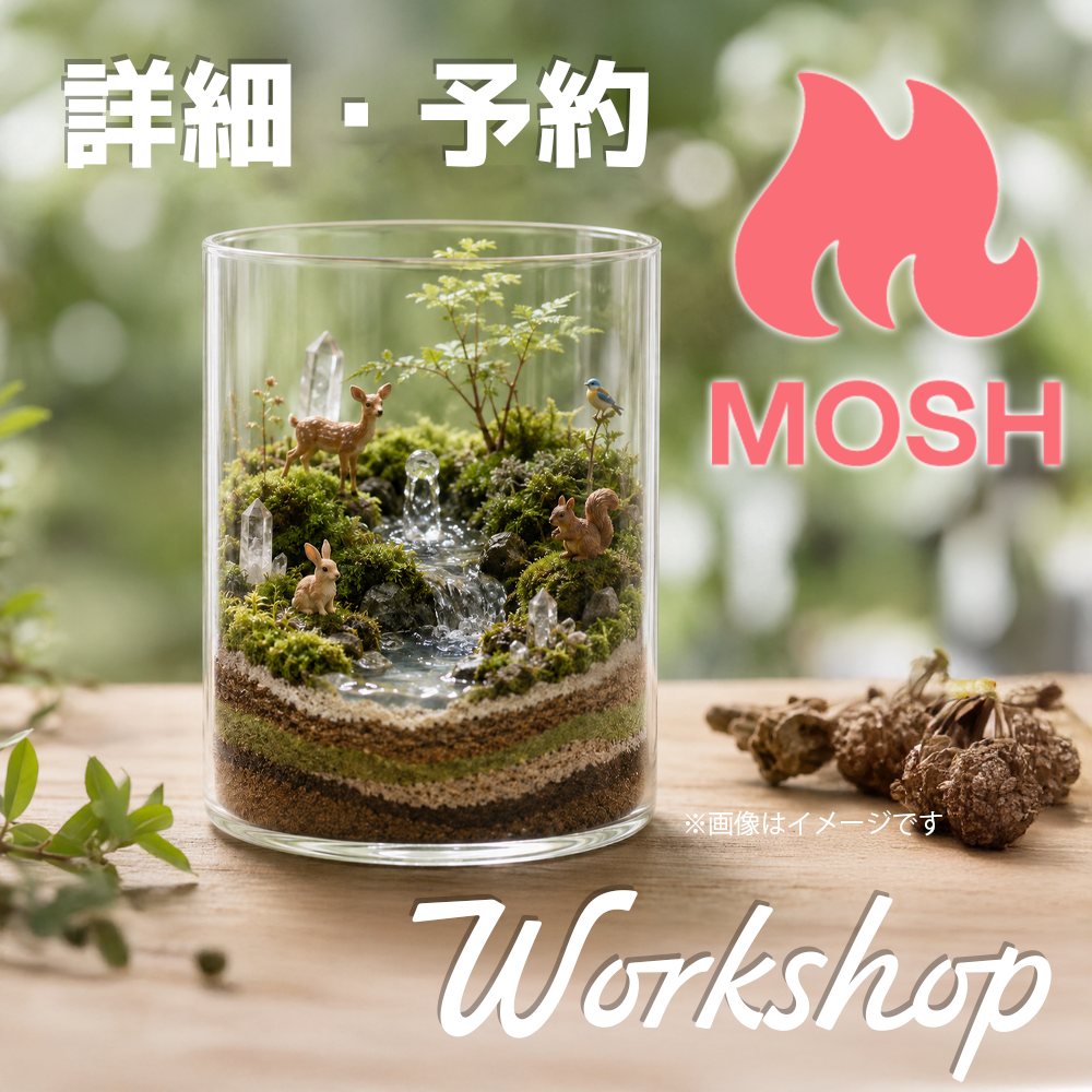 click!【ご予約はこちらから】開催中のワークショップ～MOSH～