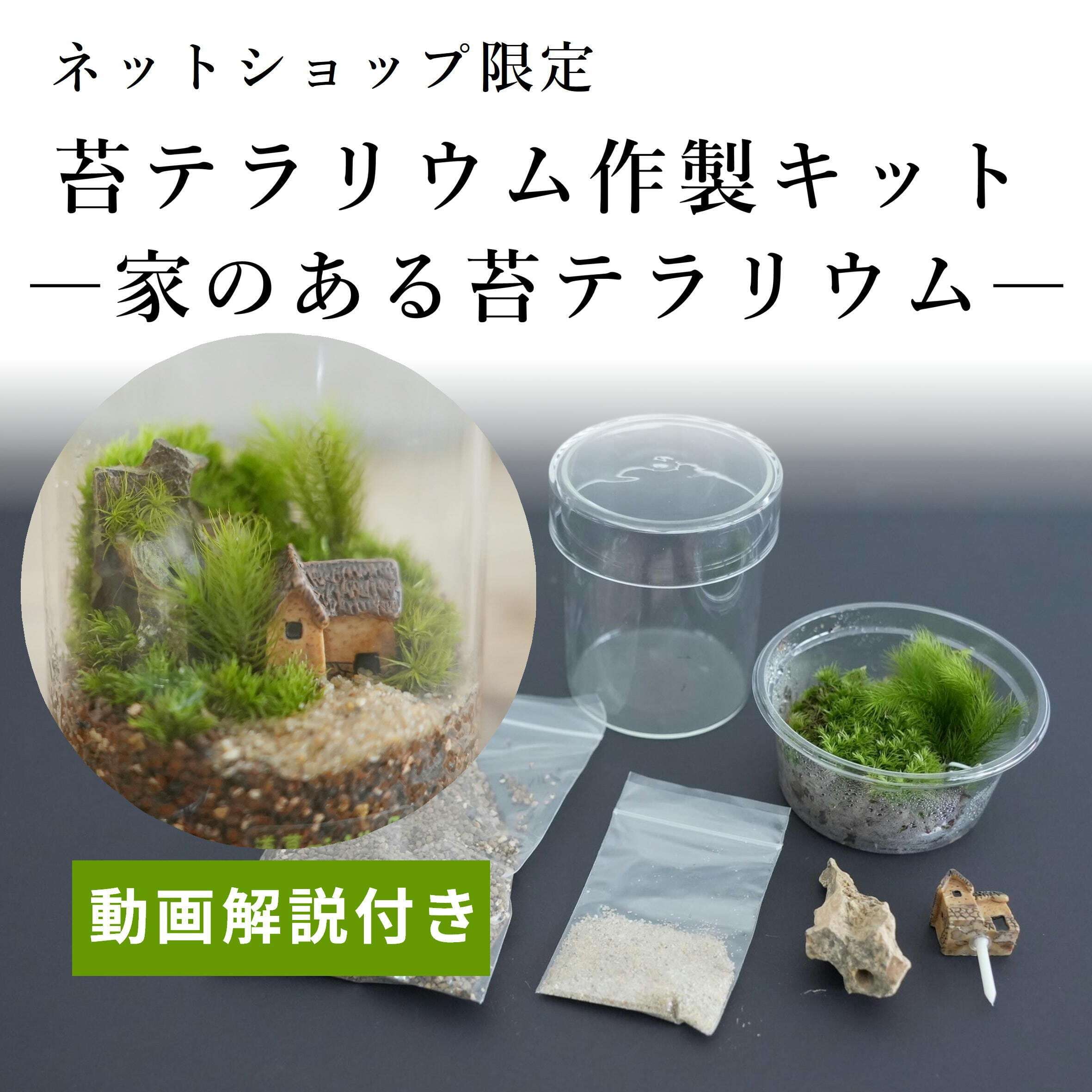 9krdk 1sgr9bnm 9krdk 1sgr9bnm