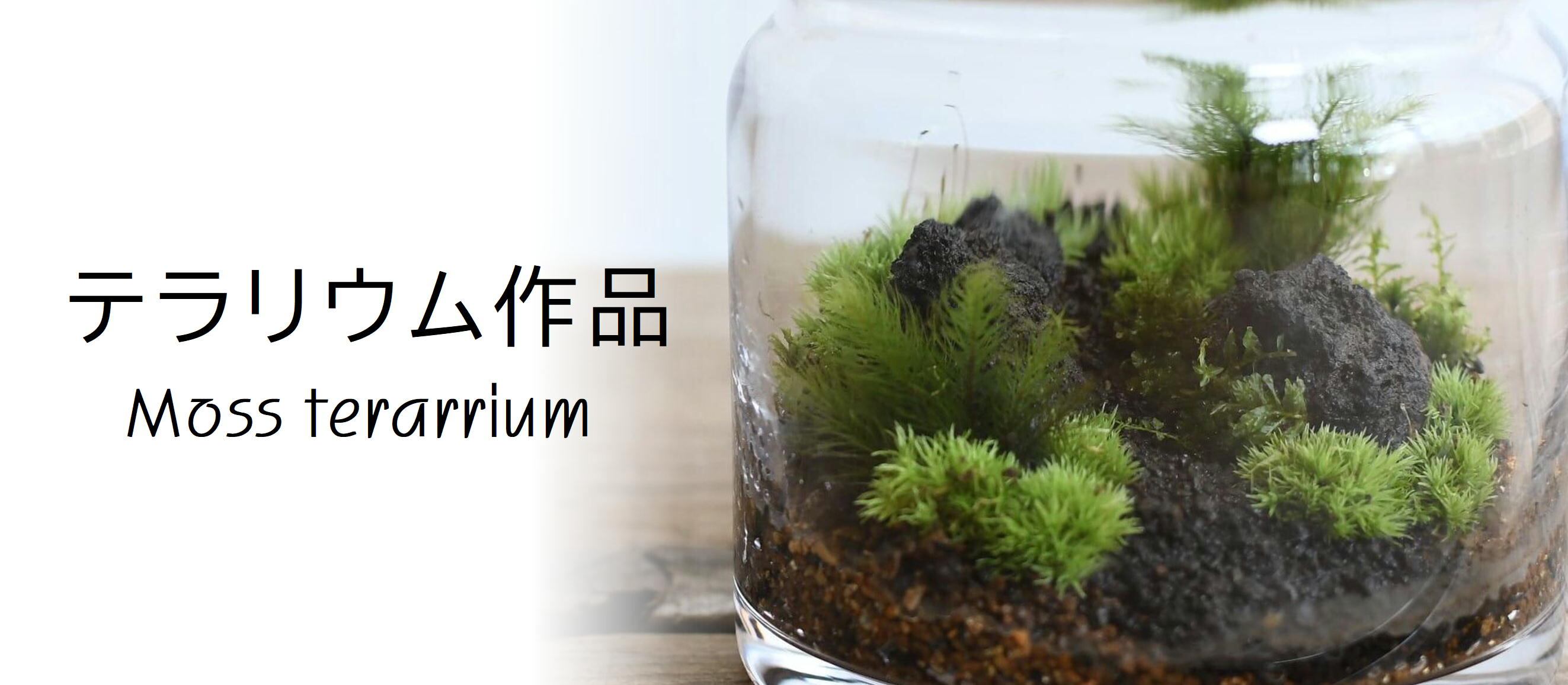 苔テラリウム作品 | 苔テラリウム専門ショップ道草 