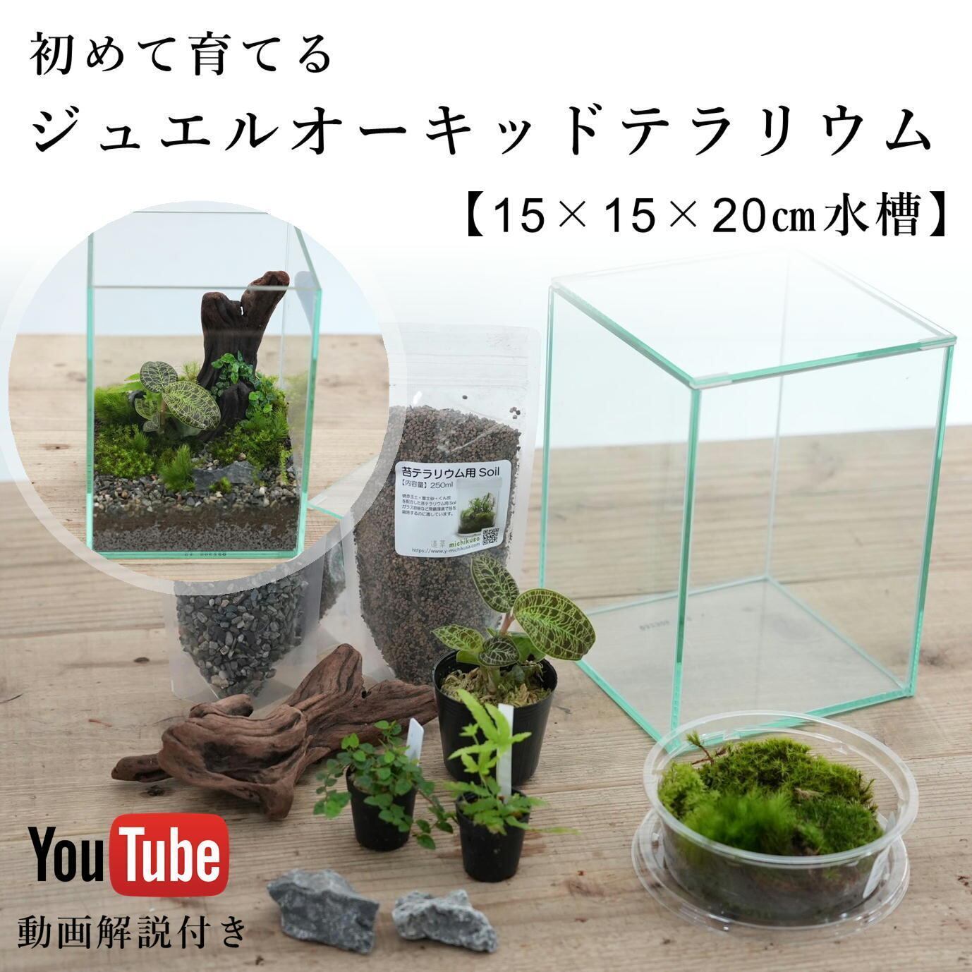 teru3　コケ各種6.5パレットとカサゴケ15本入2パック teru3様専用 コケ各種6.5パレットとオオカサゴケ 15本 【公式通販】