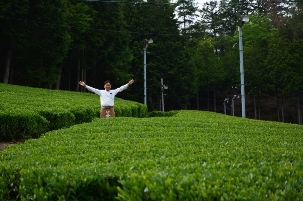 お茶の専門店「みどり園」兵庫県伊丹市|創業明治35年