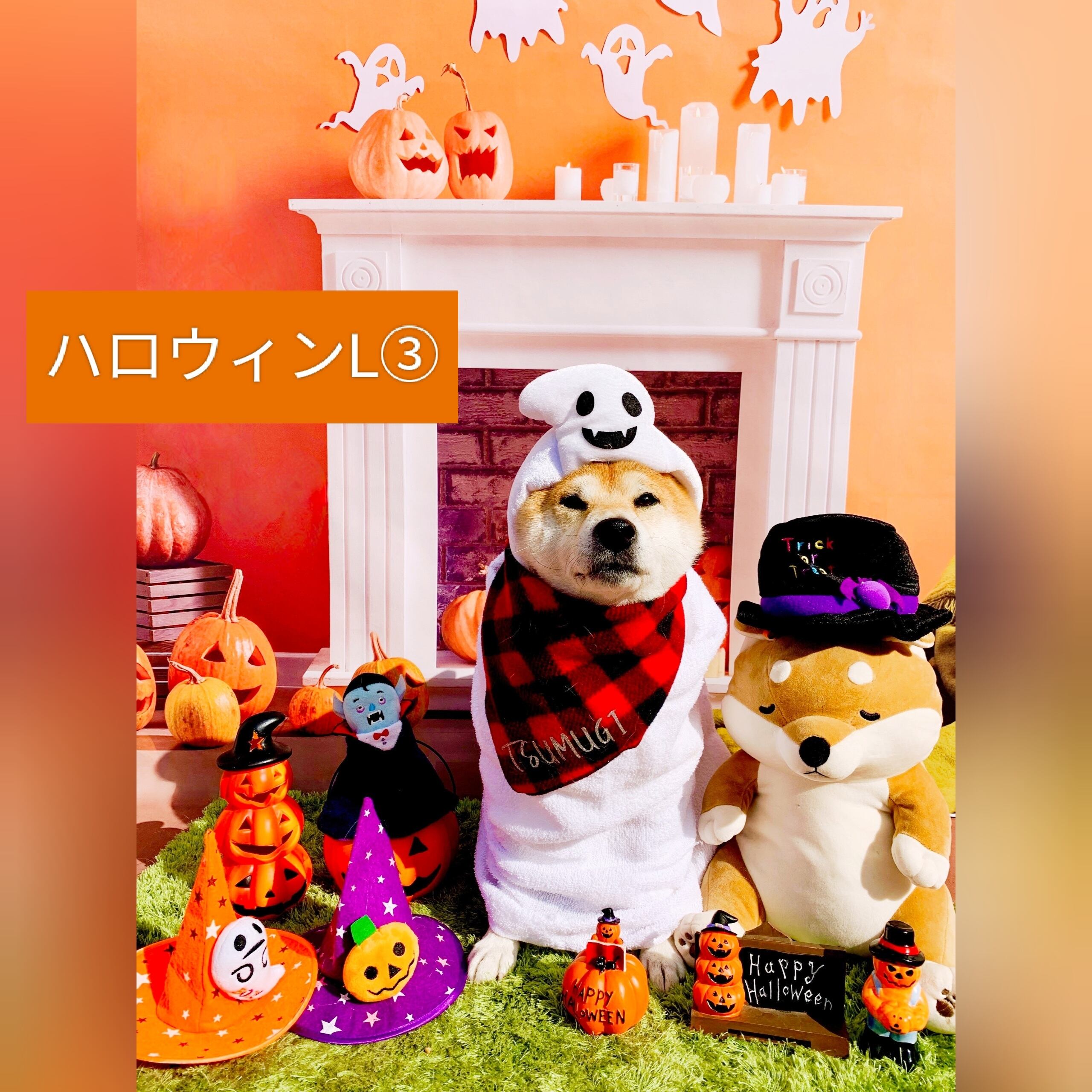お正月たまボケ冬雪イースターペット撮影用背景布×5+1トリミング お正月たまボケ冬雪イースターペット撮影用背景布×5+1トリミング