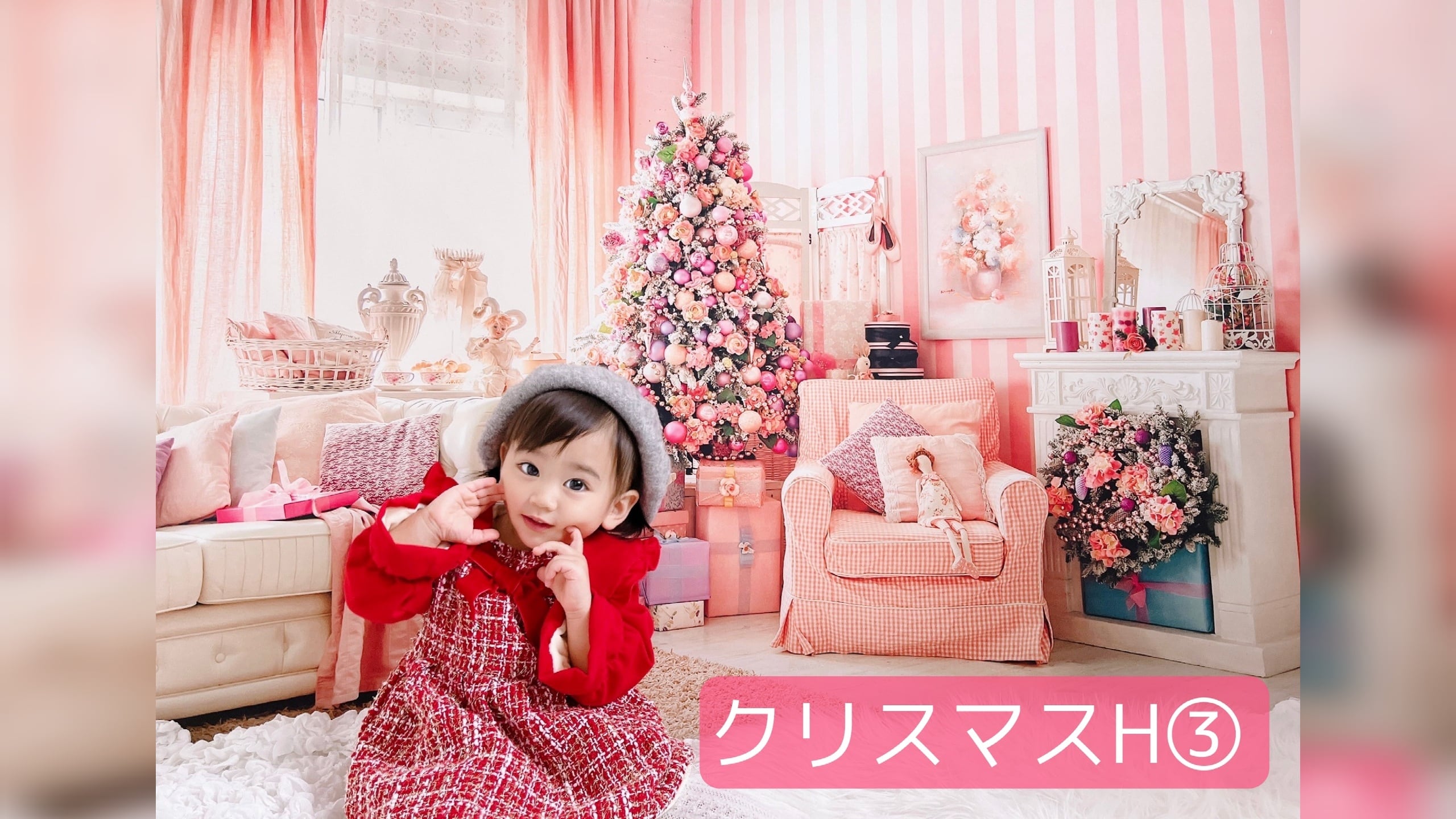 背景布アリスB① ペット撮影用フォトブース フェルトトリミング