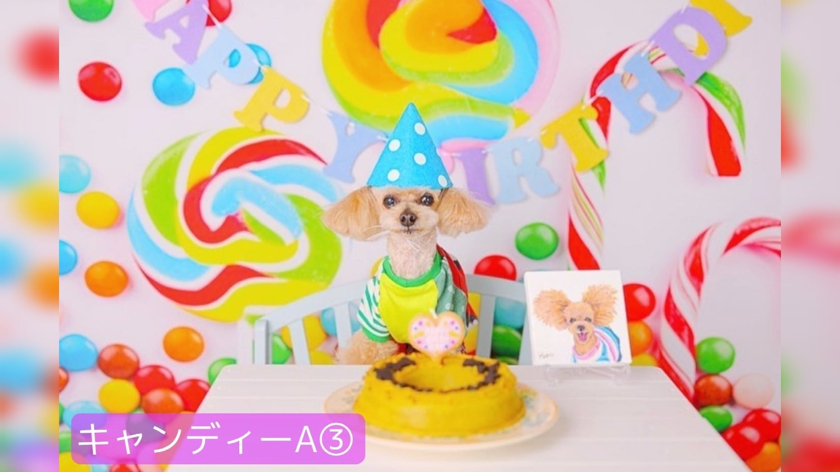 みみこっぺ.photo-6