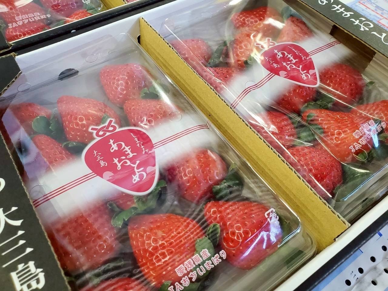 希少品種高糖度いちご【愛媛県産_あまおとめ】