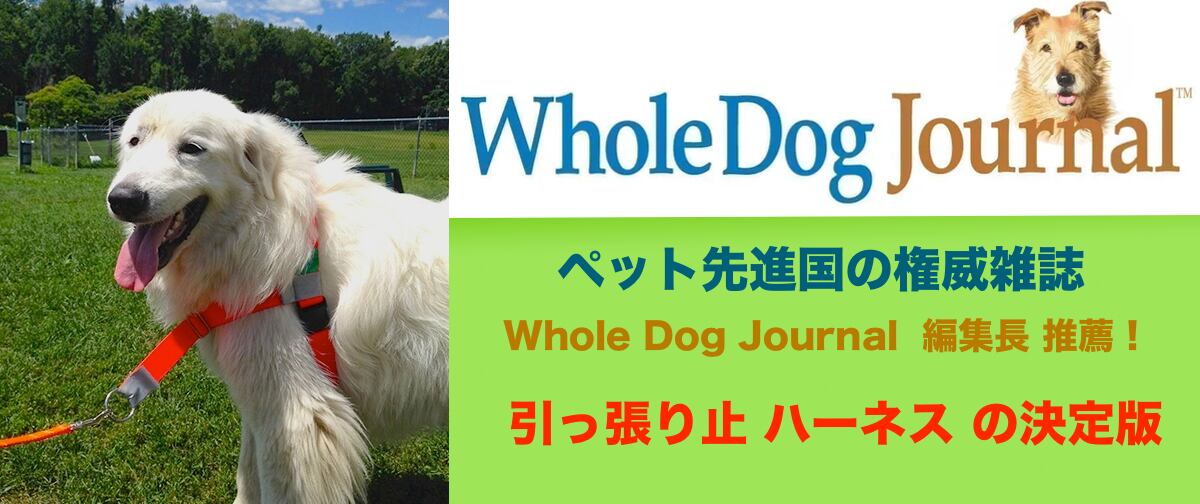 モダンドッグ 海外犬用品の店