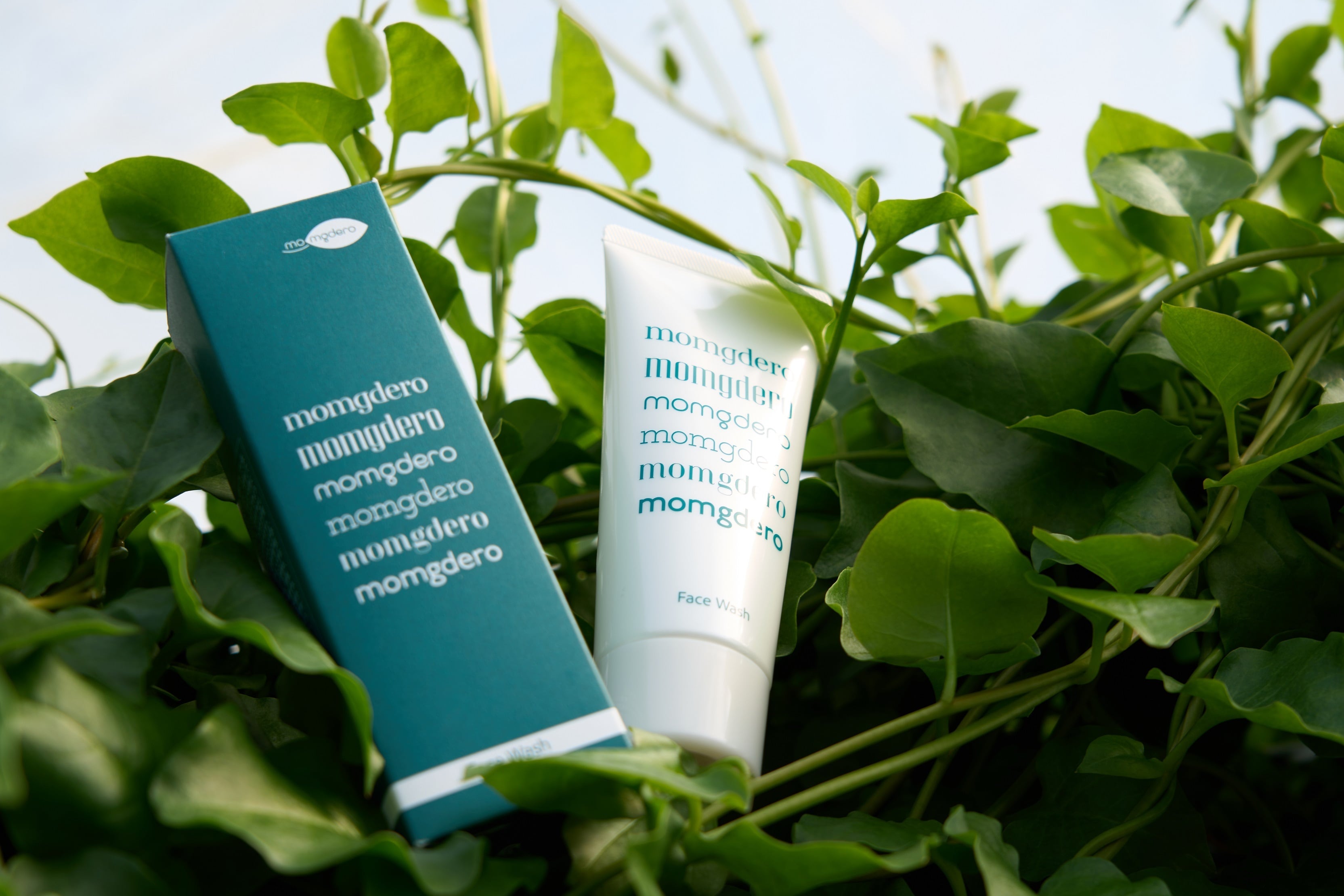 Face Wash
<br><p><font size=