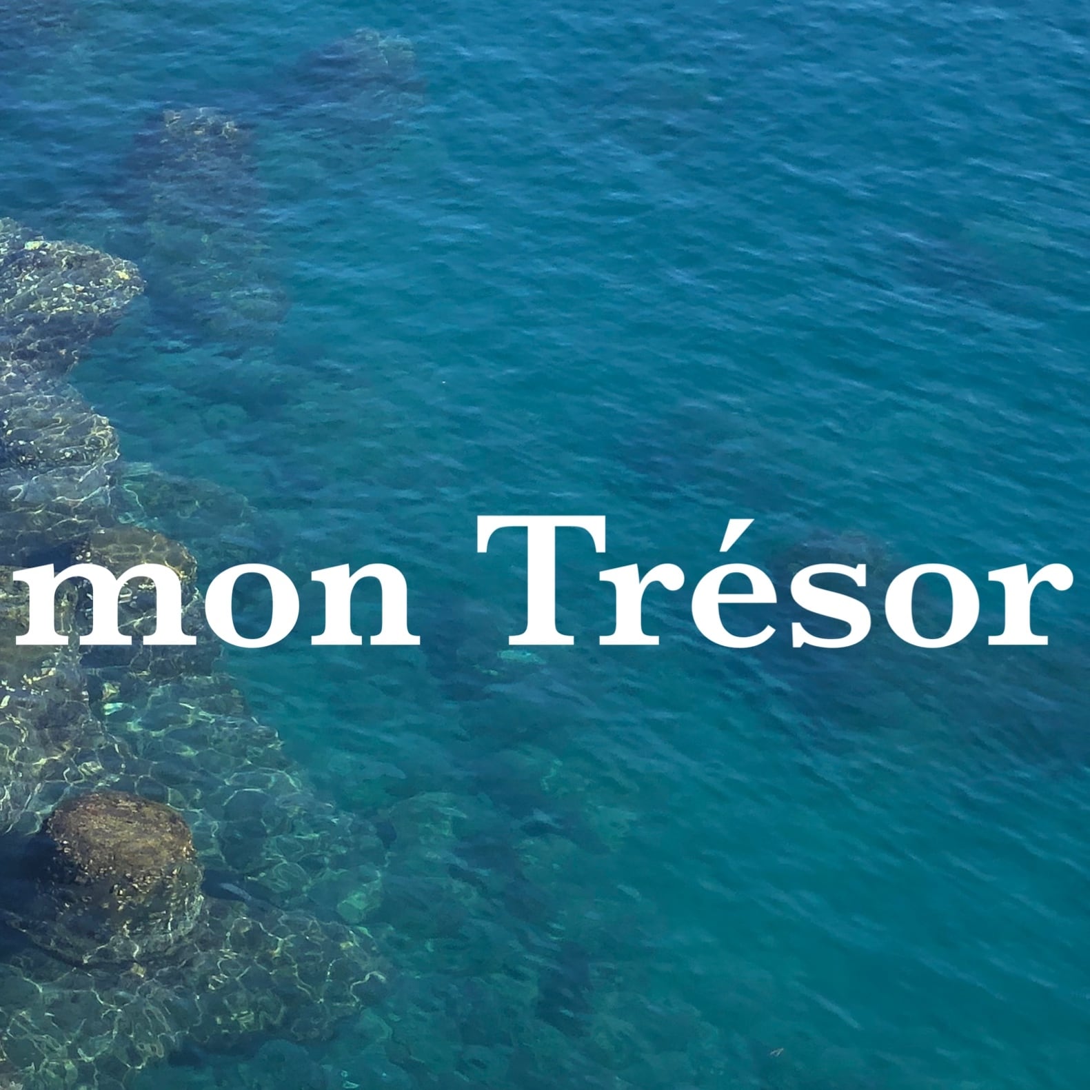 古着屋 mon Trésor【モントレゾー】