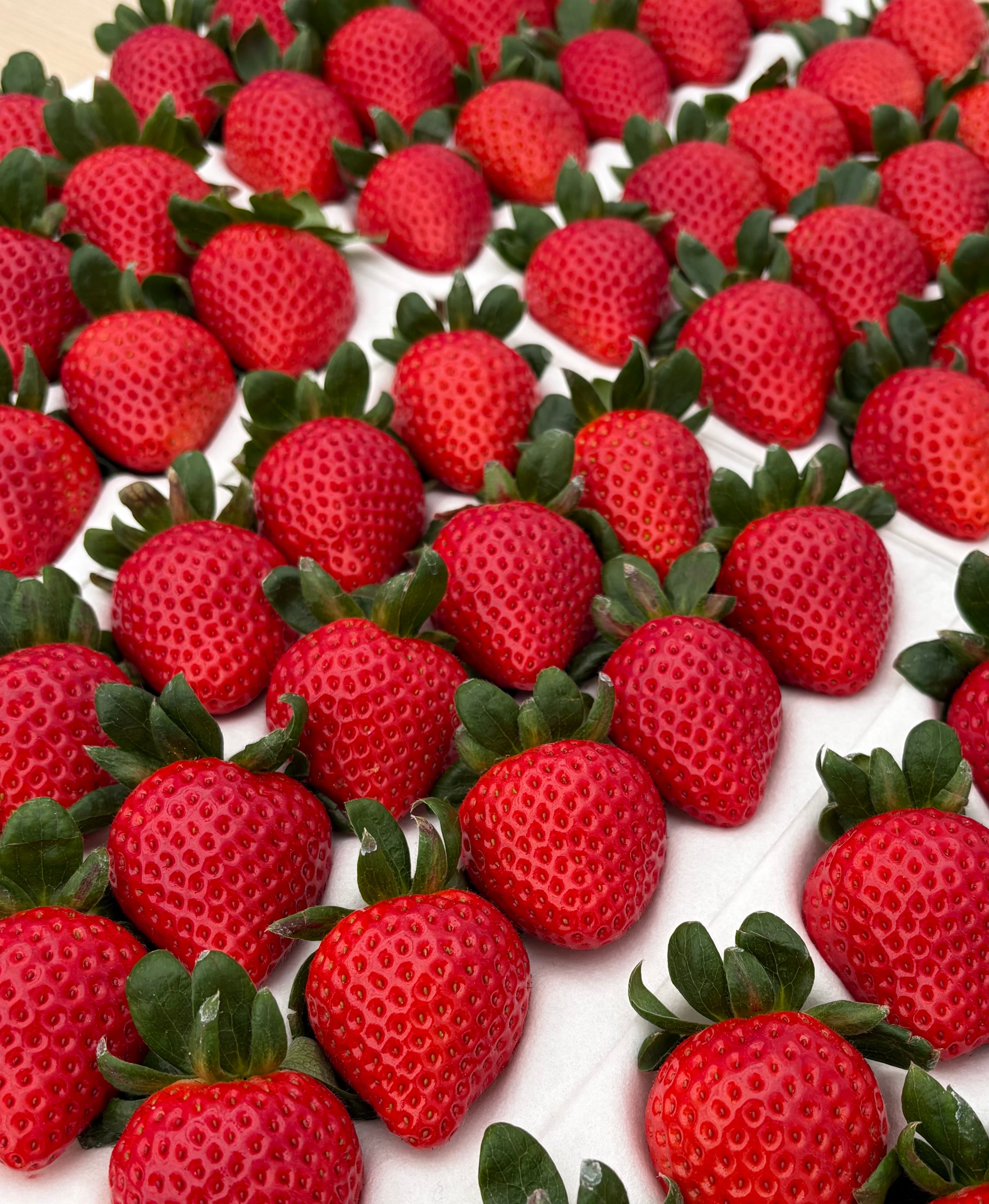 M's BERRY