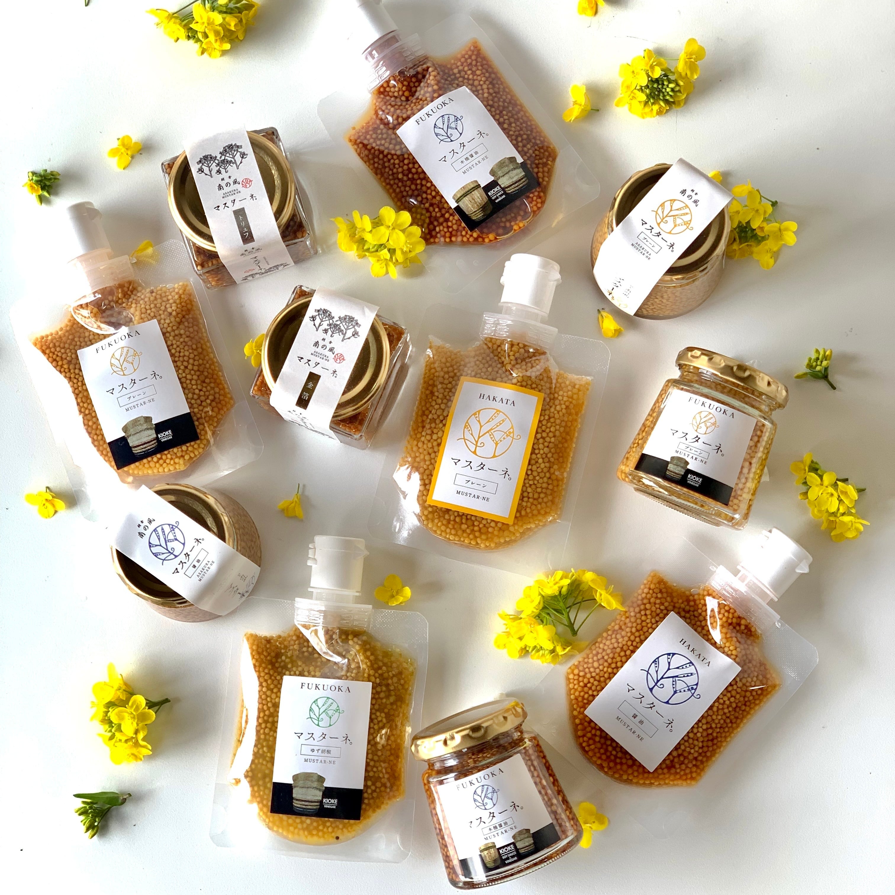 南の風のマスターネ。紹介画像1