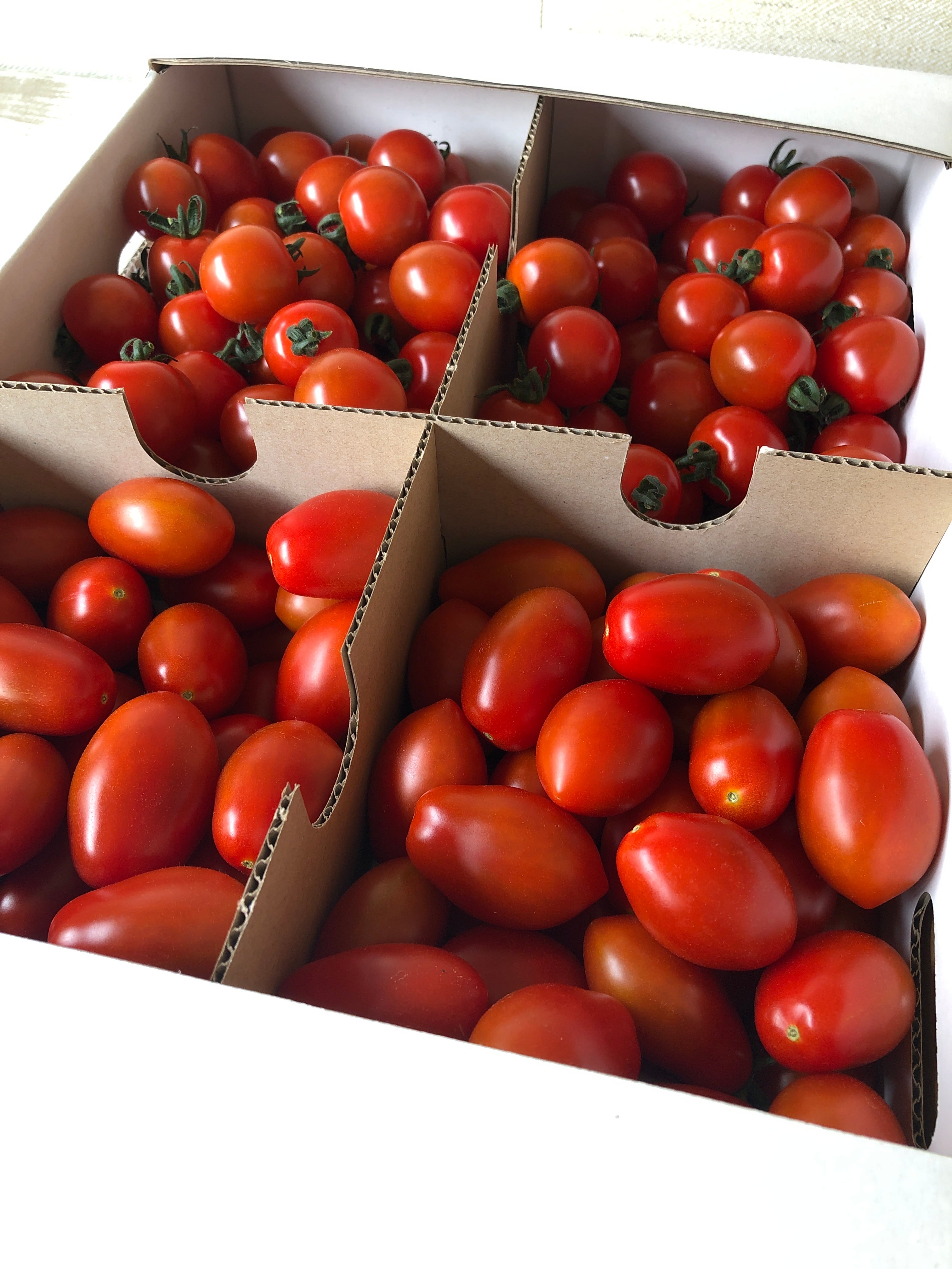 【結/縁】食べ比べセット3kg