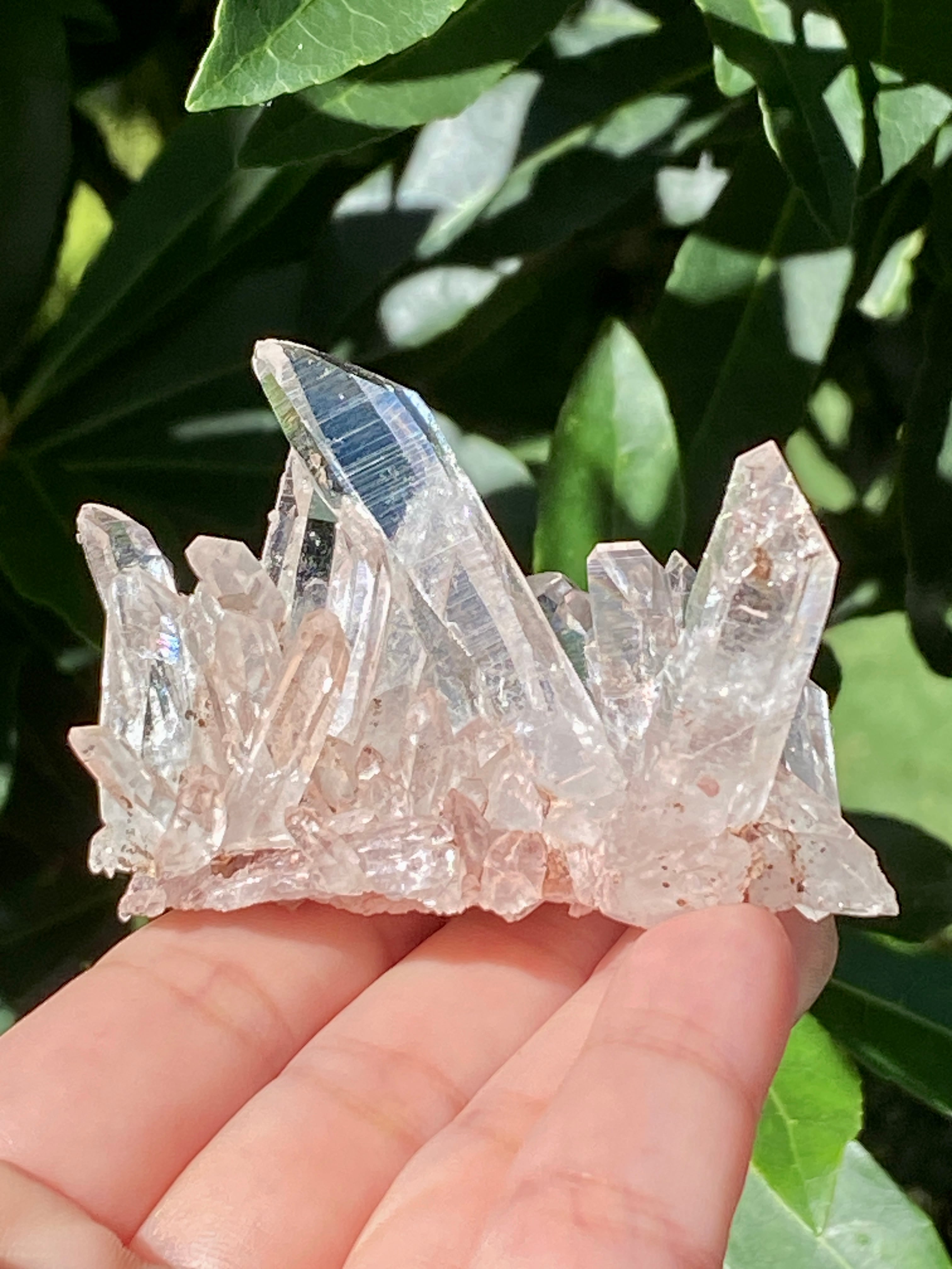 美✨超希少✨AAAAA 特大 コロンビアレムリアン✨my collection✨ LOOKBOOK | My Stellar Crystals