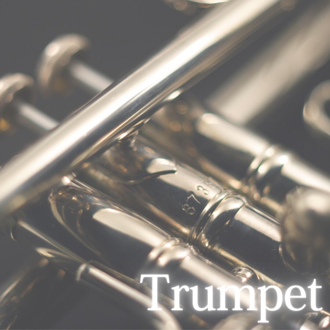 SLIDE TONE】 | NachtmusiK BRASS FACTORY