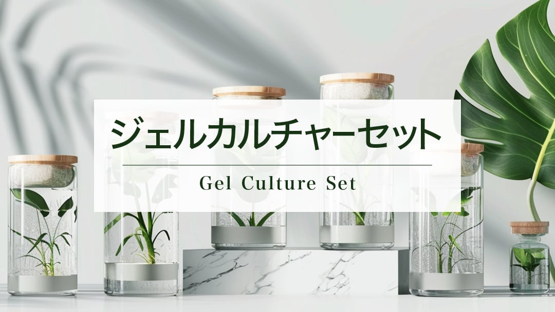 ジェルカルチャーセット