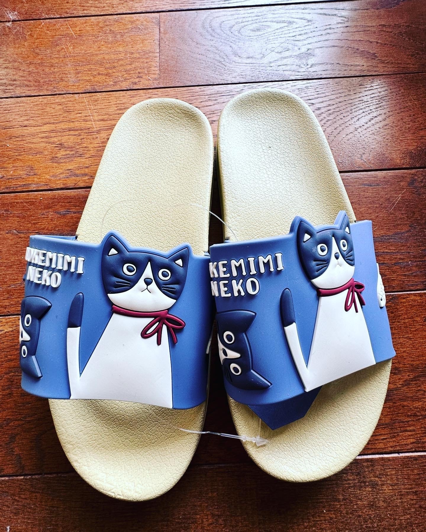 いつもそばに    ふくねこ雑貨店 Ambitious紹介画像1