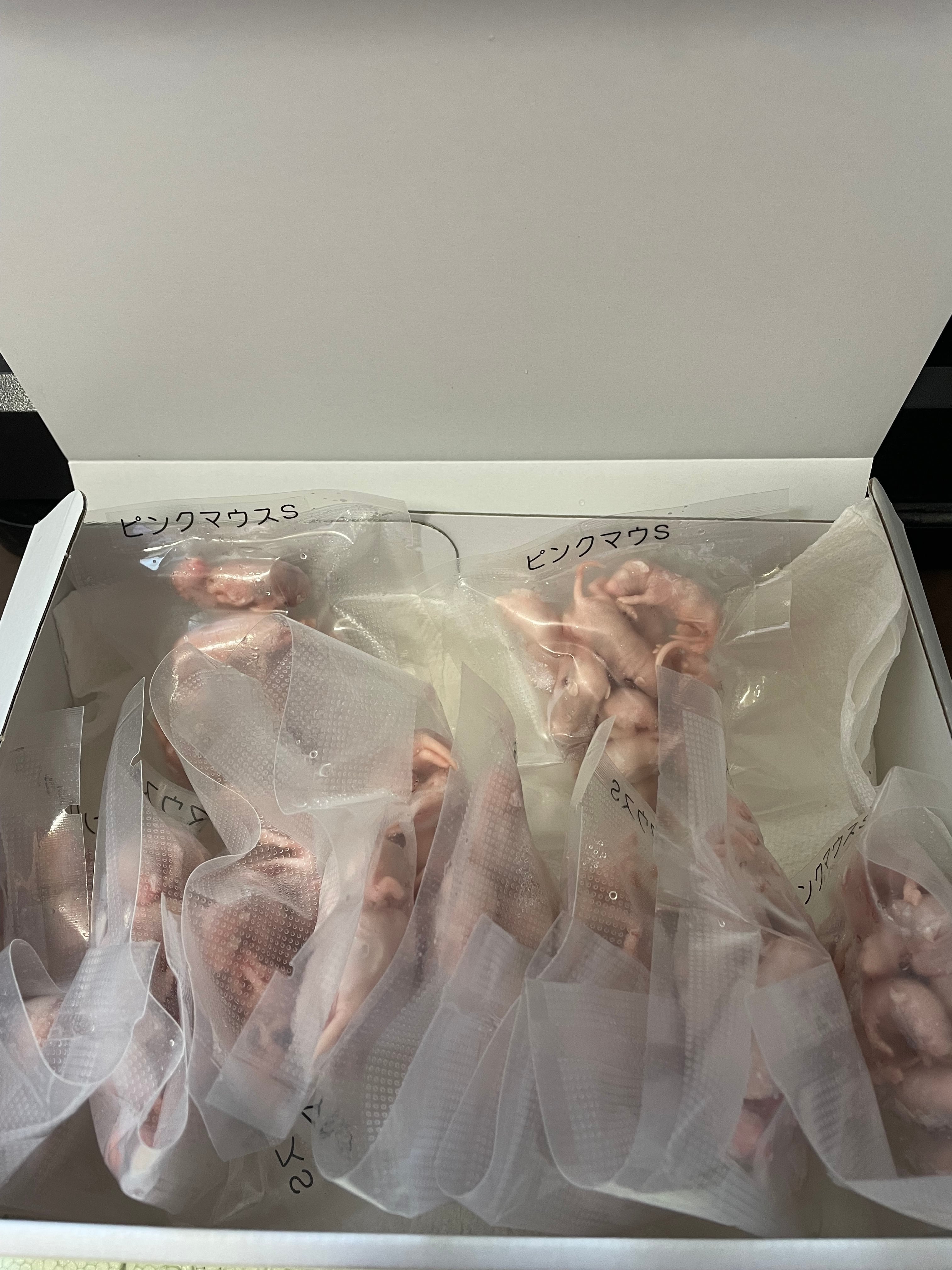 ALL ITEM | ねず坊