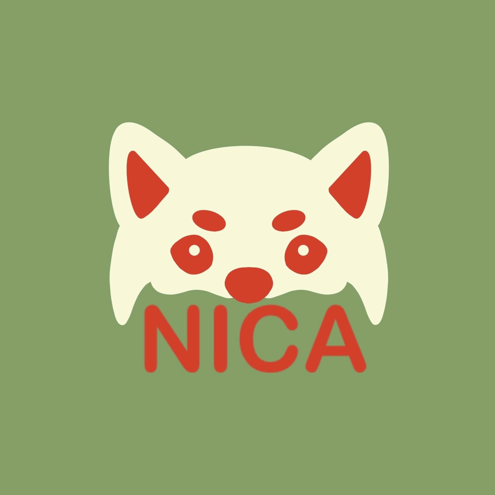 NICA CRAFT