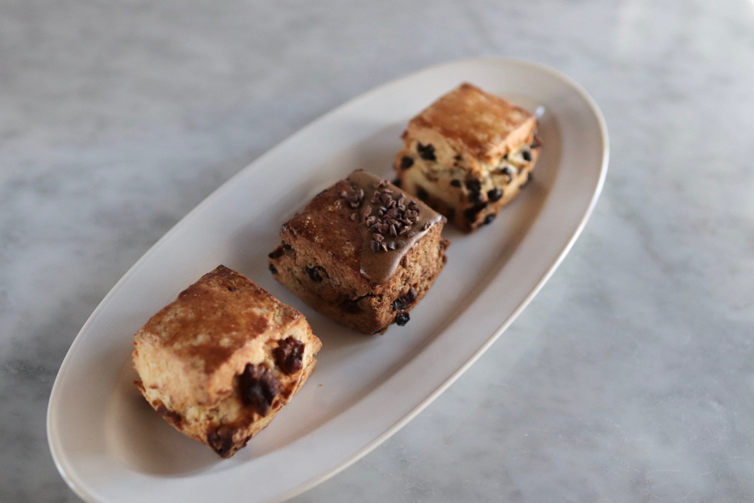 三毛猫とキツツキ