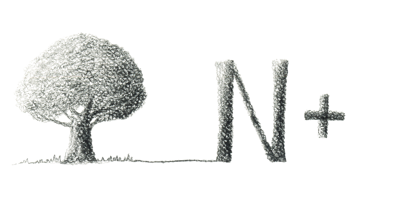 Nikiita