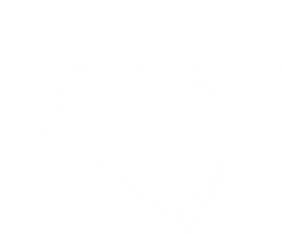 nintism