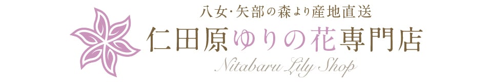 仁田原(にたばる)ゆりの花ネットショップ